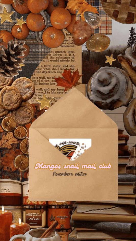 November 2025 Edition 🦃