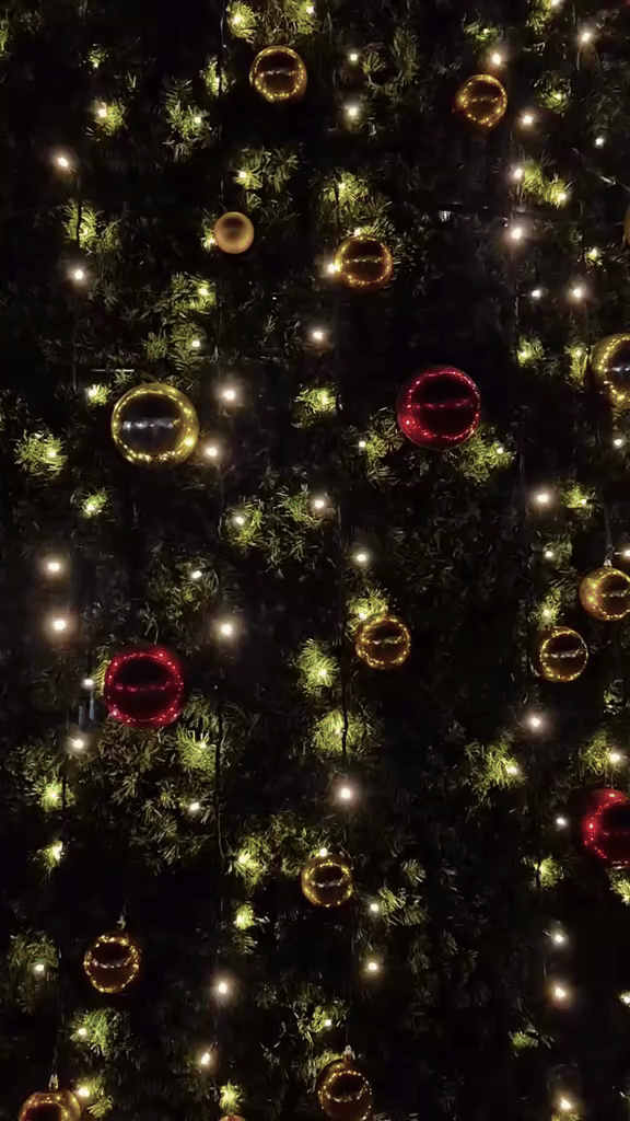 Decembers 2025 Edition 🎄