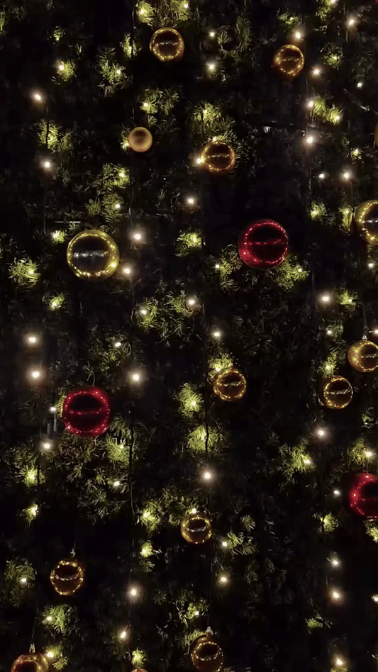 Decembers 2025 Edition 🎄